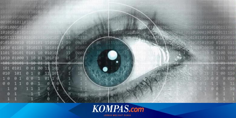 Memulihkan Penglihatan Yang Rusak Dengan Sel Punca