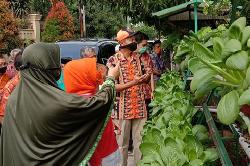 Warga Cempaka Putih Timur Panen Bersama Sayuran Hidroponik di Tengah PSBB