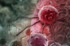 Kekebalan Tubuh, Modal Utama Memerangi Kanker