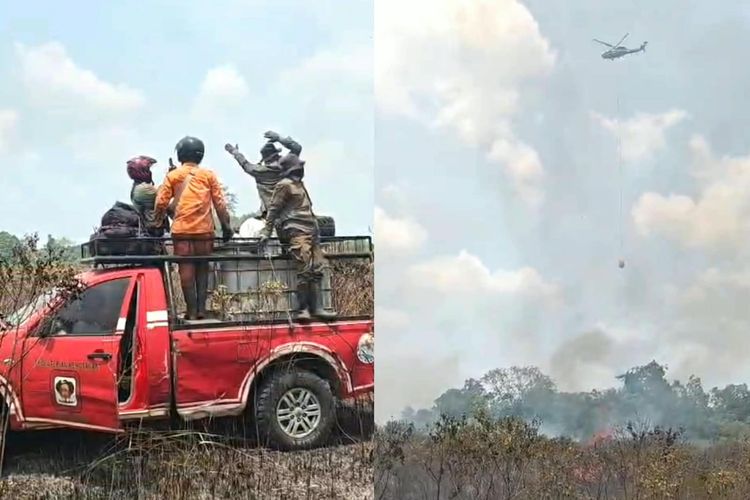 Polda Lampung Deteksi 41 Hotspot, Karhutla TNWK Masih Ditangani dari Darat dan Udara