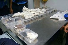 Petugas Bandara Soekarno-Hatta Amankan Pria Jepang yang Selundupkan 253 Hewan Reptil