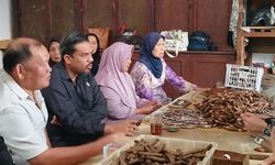 Menteri UMKM Sebut Cerutu Rizona Temanggung Berkualitas Internasional