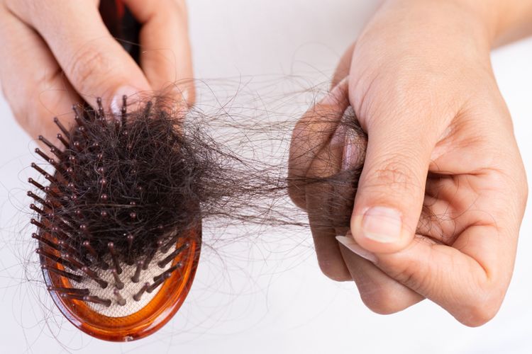 Ilustrasi rambut rontok. Rambut manusia bisa dijadikan pupuk alami untuk tanaman. 