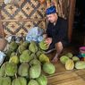 Berburu Durian di Baduy, Destinasi Wisata yang Wajib Dikunjungi