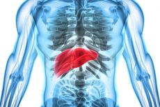 Kenali Penyebab Penyakit Liver dan Faktor Risikonya