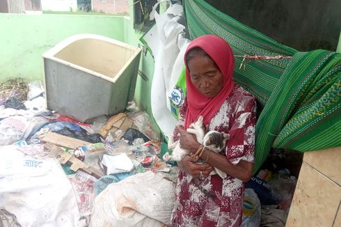 Kisah Nenek Jumirah, Rela Tinggal di Pembuangan Sampah Demi Rawat Puluhan Kucing Liar