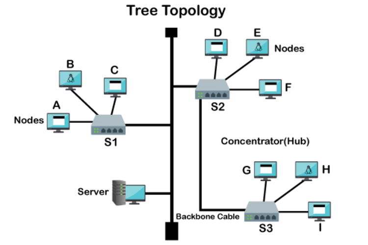Ilustrasi cara kerja topologi tree.