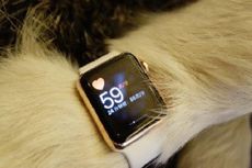 Wah, Anjing Ini Diberi Apple Watch Gold