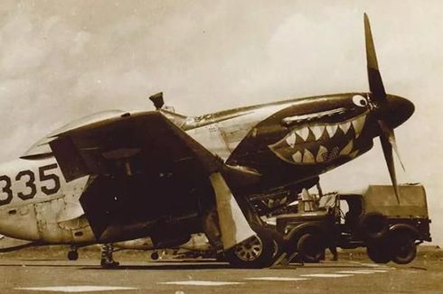P-51D Mustang, Pesawat Bekas Belanda yang Terlibat di Operasi Merdeka hingga Trikora