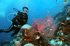 Raja Ampat dan TN Komodo Masuk Destinasi Snorkeling Terbaik di Dunia