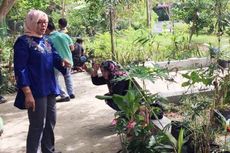 Ribuan Bibit Tanaman Penghijauan Dibagi Gratis ke Warga Gorontalo