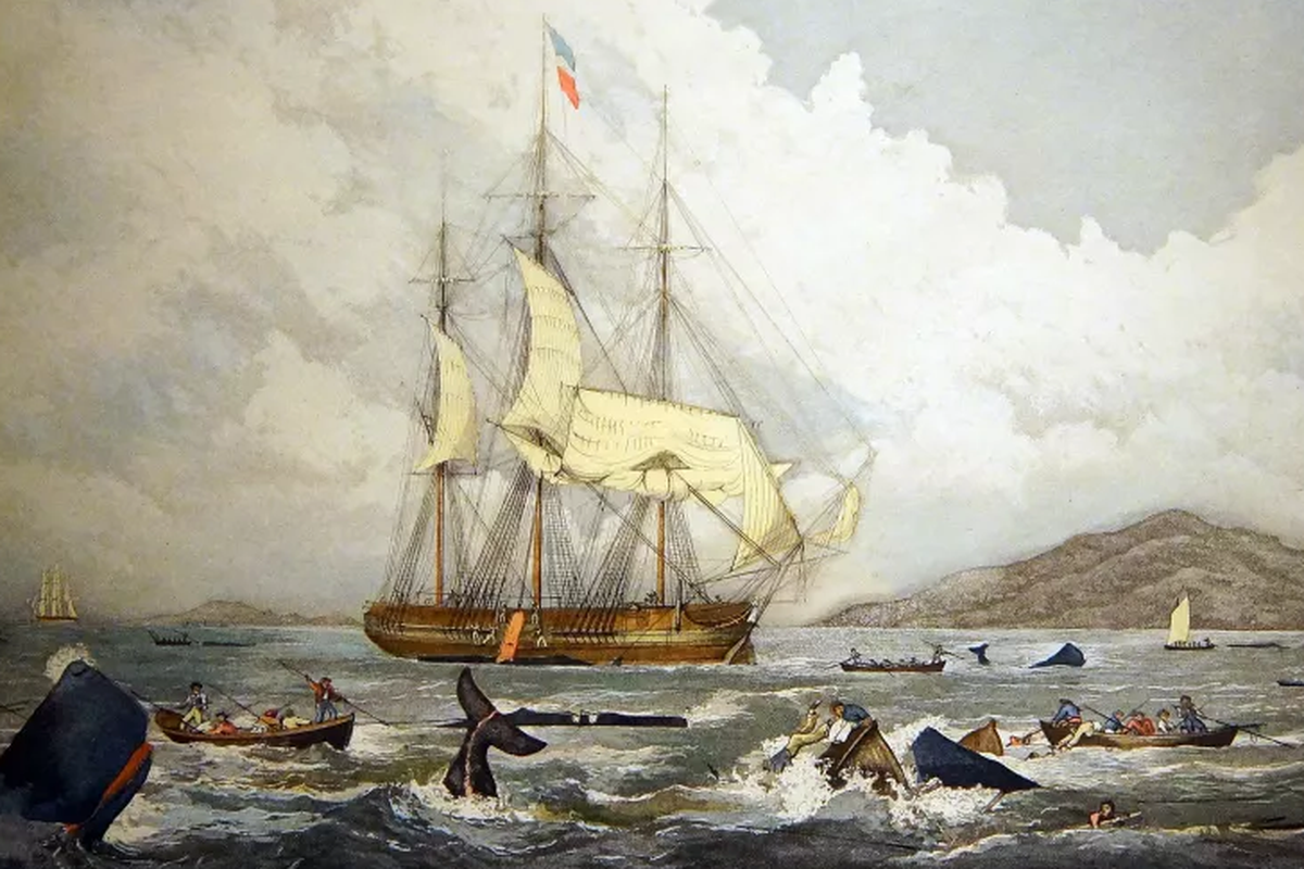 Lukisan kapal Inggris sedang melakukan perburuan paus spema di Laut Selatan.