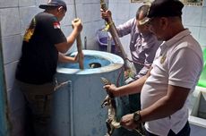 Warganya Tewas Ditikam di Tepi Barat, Israel Tembak Mati 2 Remaja Palestina