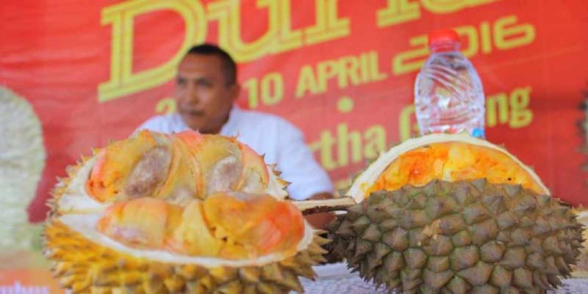 Download 64+ Gambar Durian Merah Terbaik Gratis