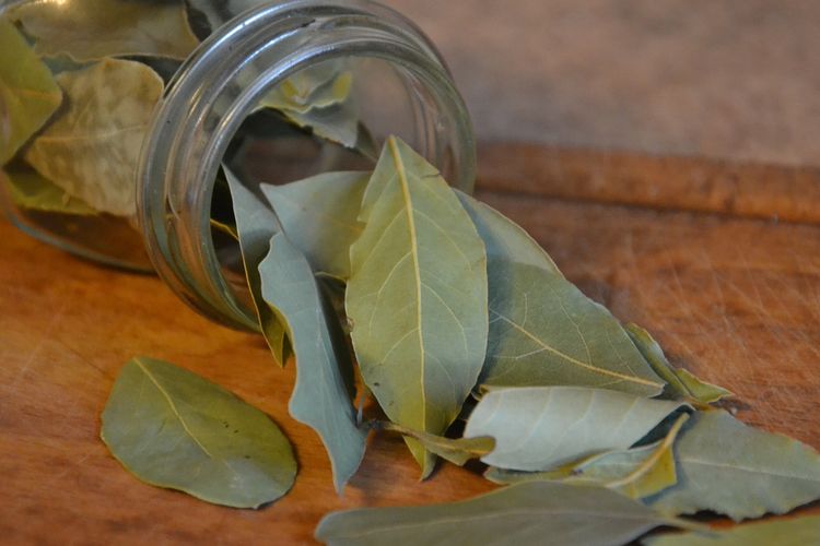 Illustration of the benefits of bay leaves. 