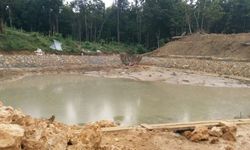 Kekeringan Mengancam, Kementan Imbau Petani Perbaiki dan Bangun Sistem Pengairan