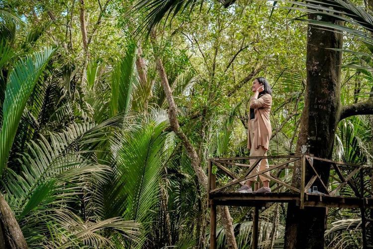 Desa Wisata Sungai Kupah di Kalimantan Barat