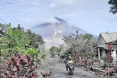 Update Korban Erupsi Semeru: 22 Warga Meninggal, 22 Orang Hilang