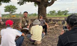 Ekonomi Nasional Tumbuh 5,02 Persen, Pertanian dan 3 Sektor Ini Mendominasi