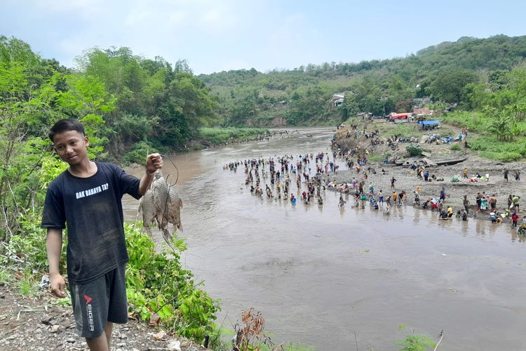 Foto: Ribuan warga di Sempadan Sungai Sampean Kabupaten Situbondo, Provinsi Jawa Timur mencari ikan mabuk pada Kamis (14/12/2023).