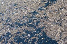 Pemprov DKI Tanggung Pemakaman Seluruh Korban Tewas dalam Kebakaran Gedung Terra Drone