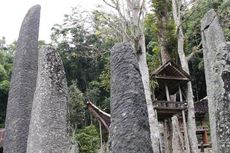 Wisata Budaya dan Panorama Toraja