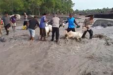 PAN Imbau Warga Tak Panik soal Super Flu, Minta Kemenkes Pantau