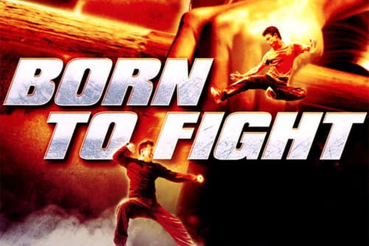 Film Born to Fight (2004)