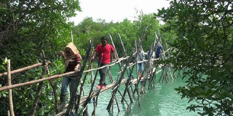 Tim harus melewati titian kayu untuk mencapai lokasi pantai bebatuan metamorf di Belinyu, Kepulauan Bangka Belitung.