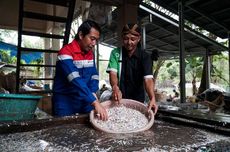 Asa Menjaga Lingkungan Hidup dari Langkah Kecil Daur Ulang Sampah