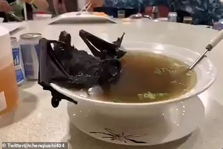 Sup kelelawar