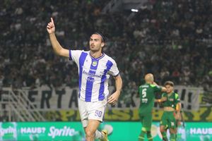 Hasil Dewa United Vs Persib 2-2: Thom Haye dan Andrew Jung Selamatkan Maung