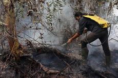 Aktivis Lingkungan Pertanyakan SP3 Kasus 15 Perusahaan Tersangka Pembakar Hutan