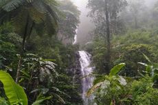 Curug Semawur di Kendal: Daya Tarik, Harga Tiket, dan Rute