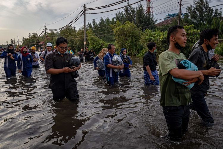 Apa Itu Banjir Rob seperti yang Menggila di Pesisir Utara Jateng