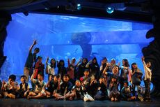 Yuk, Ajak Anak Menginap dan Belajar di Jakarta Aquarium