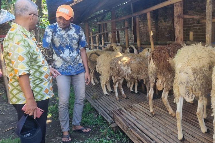 Berdayakan Penyandang Disabilitas, Penjual Hewan Kurban di Bantul Gandeng Difabel Jadi 