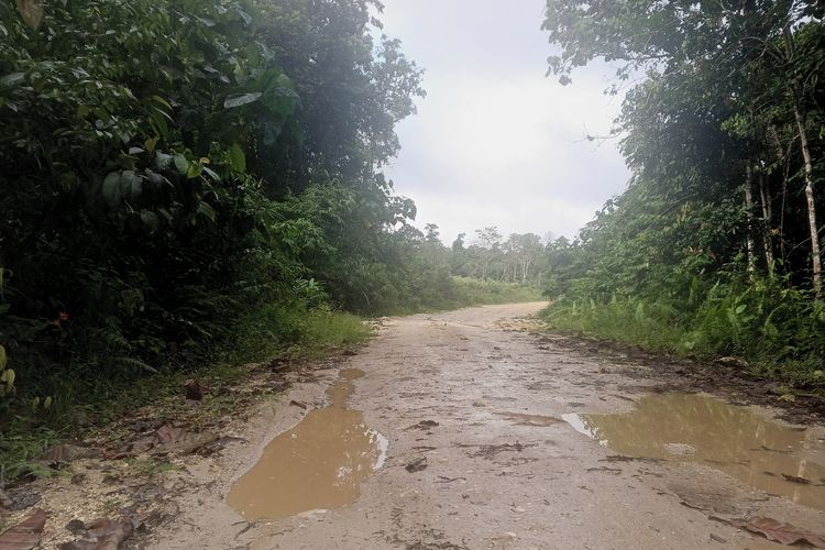 Kondisi jalan menuju Desa Barunang, Kapuas Tengah, Kabupaten Kapuas, Kalimantan Tengah, usai hujan mengguyur.