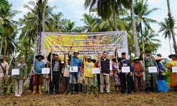 Pacu Produksi Padi Banten, Ditjenbun Kementan Tanam Padi Gogo di Lebak dan Serang