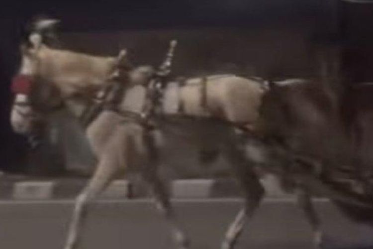 Tangkapan layar dari video andong melaju melawan arah di jalur cepat ringroad barat yang diunggah akun instagram @merapi_uncover, Minggu (13/7/2025). 

