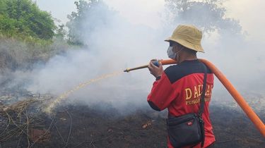 Kemenhut Didesak Segera Turun Tangan Mengatasi Karhutla di Kalimantan