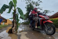 Protes 12 Tahun Jalan Dibiarkan Rusak, Warga Bandung Barat Tanam Pohon Pisang di Jalan