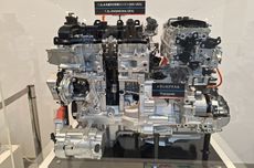 Soal Perusakan Kebun Kopi di Ijen Bondowoso, PTPN I Regional 5 Dukung Proses Hukum