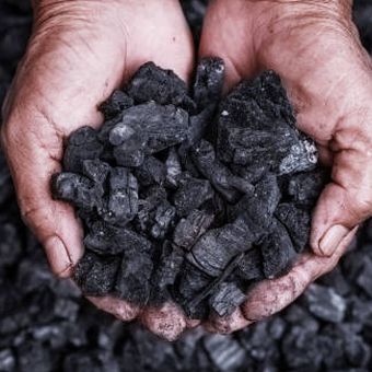 Ilustrasi jenis-jenis batu bara.