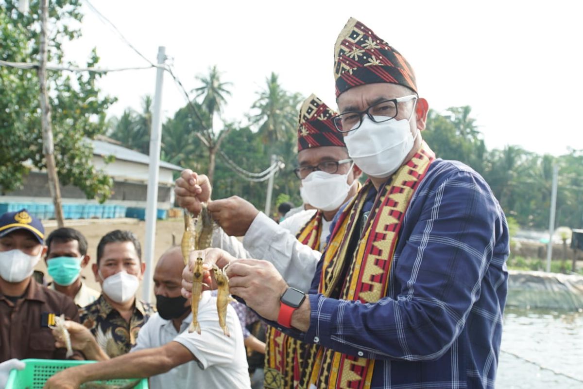 Kepala Badan Riset dan Sumber Daya Manusia (BRSDM) Kementerian Kelautan dan Perikanan (Kementerian KP) I Nyoman Radiarta saat menghadiri kegiatan panen udang vanname yang digelar SUPM Kotaagung Lampung di Lampung, Sabtu-Minggu, 16-17 April 2022.