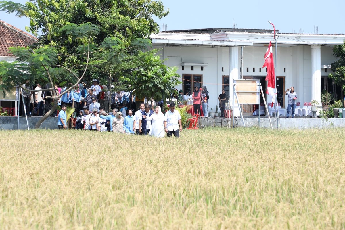 Amankan Masa Depan Pangan dan Energi, Pemkot Semarang Luncurkan Inovasi Berbasis Lahan Salin