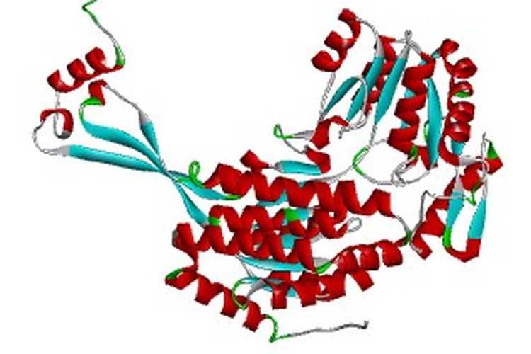 Prediksi Struktur Protein pada enzim ALDH3I1 pada tanaman Theobroma cacao