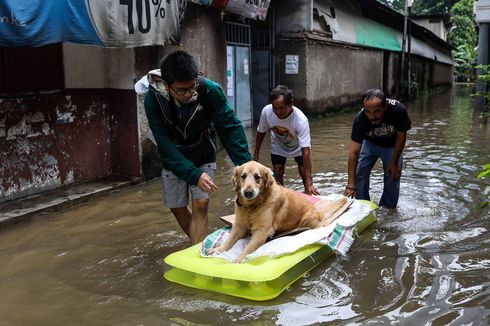 Berikut 5 Posko Evakuasi Hewan Peliharaan Korban Banjir Jakarta