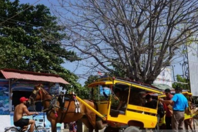 Aktivitas wisatawan lengkap dengan transportasi umum Cidomo dan sepeda yang tersedia di kawasan wisata andalan NTB di Gili Trawangan, Lombok Utara.