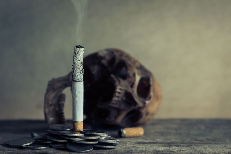 Ilustrasi rokok. Rokok ketika dibakar menghasilkan lebih dari 7.000 bahan kimia berbahaya. Efek merokok dapat memengaruhi pernapasan, pembuluh darah, dan organ seksual.